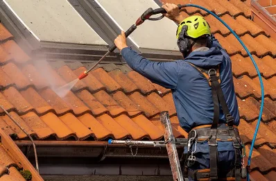 Démoussage et hydrofuge de toiture à Burgaronne